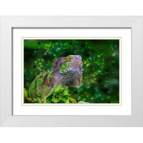 Green Iguana White Modern Wood Framed Art Print with Double Matting by Spears, Don