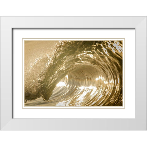 Auricomus White Modern Wood Framed Art Print with Double Matting by Sieczkiewicz, David A.