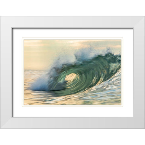 Viridity White Modern Wood Framed Art Print with Double Matting by Sieczkiewicz, David A.