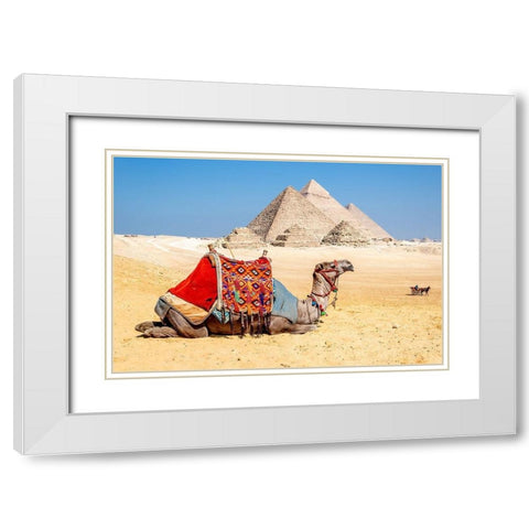 Camel Resting by the Pyramids, Giza, Egypt White Modern Wood Framed Art Print with Double Matting by Silver, Richard