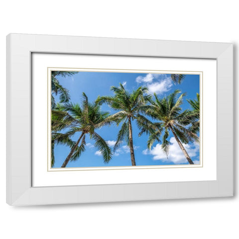 Palawan Palm Trees I White Modern Wood Framed Art Print with Double Matting by Silver, Richard
