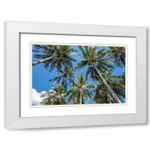 Palawan Palm Trees II White Modern Wood Framed Art Print with Double Matting by Silver, Richard