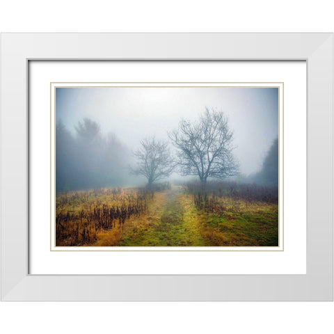 Magic Meadow Apples White Modern Wood Framed Art Print with Double Matting by Sinclair, Kelly