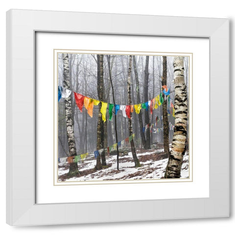 Prayer Flags, Woodstock, NY White Modern Wood Framed Art Print with Double Matting by Sinclair, Kelly