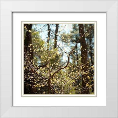 Spring White Modern Wood Framed Art Print with Double Matting by Sinclair, Kelly