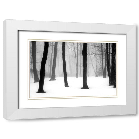 Winter Fog White Modern Wood Framed Art Print with Double Matting by Sinclair, Kelly
