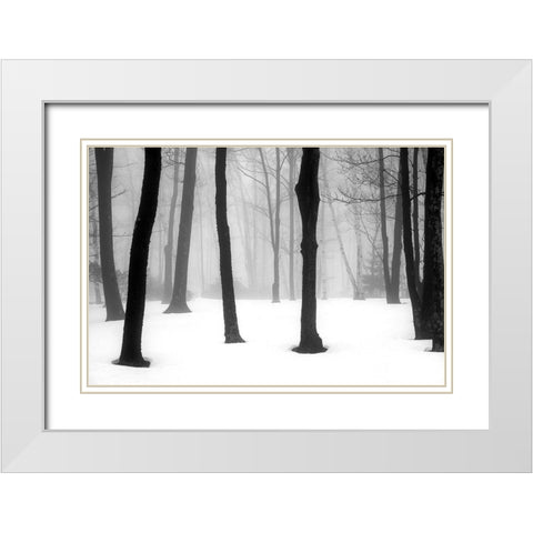 Winter Fog White Modern Wood Framed Art Print with Double Matting by Sinclair, Kelly