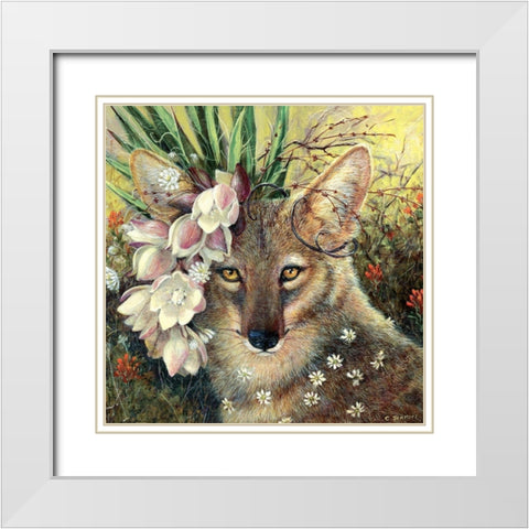 Death Valley Beauty White Modern Wood Framed Art Print with Double Matting by Schmitz, Carolyn