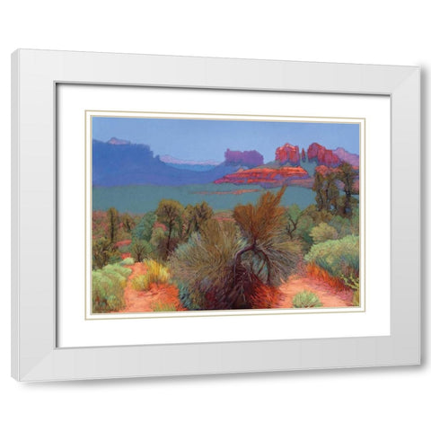 High Desert White Modern Wood Framed Art Print with Double Matting by Silverwood, Mary