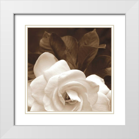 Gardenia Garden White Modern Wood Framed Art Print with Double Matting by Swanson, Rebecca