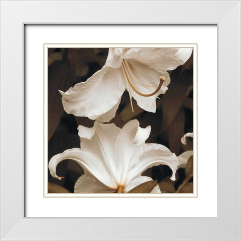 White Lilies White Modern Wood Framed Art Print with Double Matting by Swanson, Rebecca