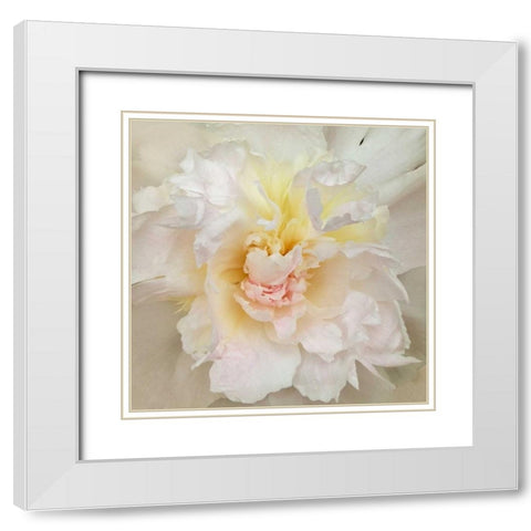 Paeonia White Modern Wood Framed Art Print with Double Matting by Swanson, Rebecca
