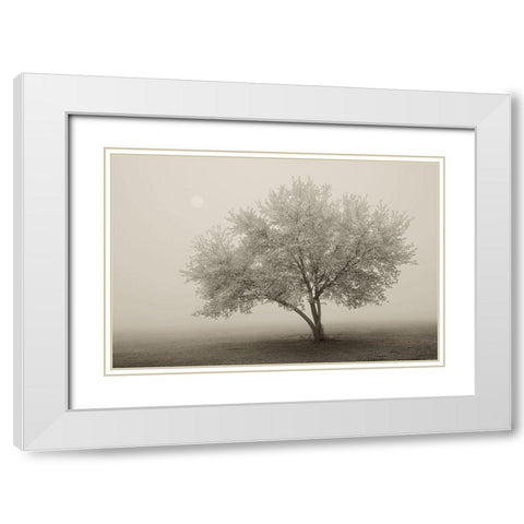 Forever Spring White Modern Wood Framed Art Print with Double Matting by Svibilsky, Igor
