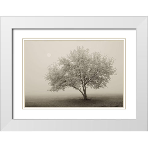 Forever Spring White Modern Wood Framed Art Print with Double Matting by Svibilsky, Igor