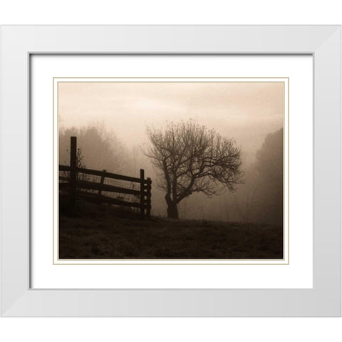 Mountain Meadow Farm White Modern Wood Framed Art Print with Double Matting by Triebert, Christine
