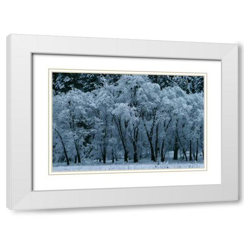 Black Oaks Yosemite White Modern Wood Framed Art Print with Double Matting by Thomas, Alain