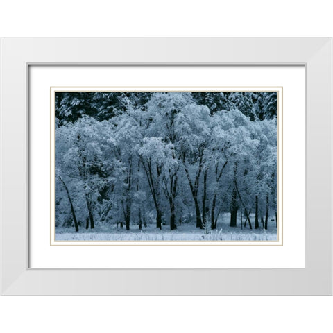 Black Oaks Yosemite White Modern Wood Framed Art Print with Double Matting by Thomas, Alain
