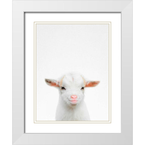Baby Goat White Modern Wood Framed Art Print with Double Matting by Tai Prints