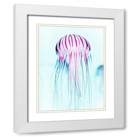 Jelly Fish White Modern Wood Framed Art Print with Double Matting by Tai Prints