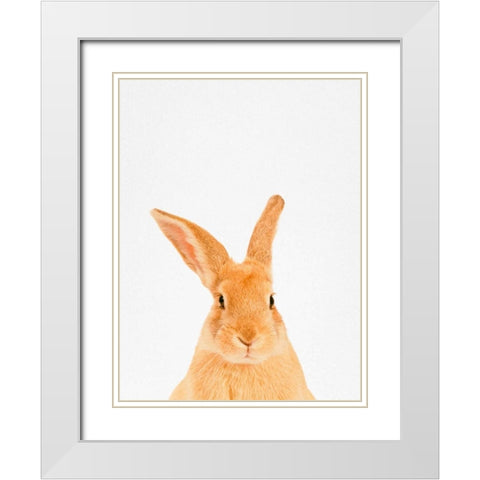 Rabbit White Modern Wood Framed Art Print with Double Matting by Tai Prints
