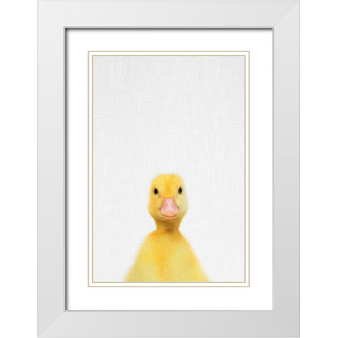 Duck White Modern Wood Framed Art Print with Double Matting by Tai Prints