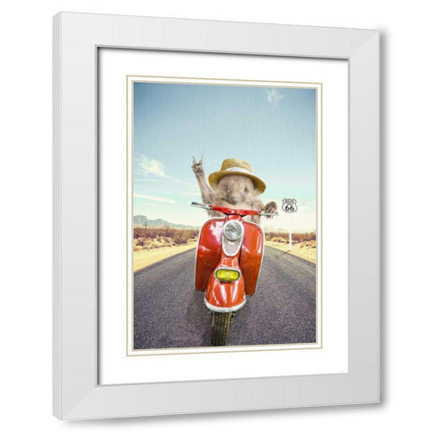 Hedgehog Traveler White Modern Wood Framed Art Print with Double Matting by Tai Prints