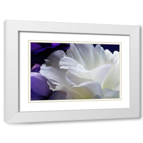 Lisianthus White Modern Wood Framed Art Print with Double Matting by Veralli, Amalia