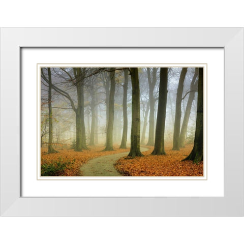 Misty Twisty White Modern Wood Framed Art Print with Double Matting by Van de Goor, Lars
