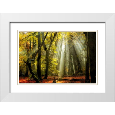 Yellow Leaves Rays White Modern Wood Framed Art Print with Double Matting by Van de Goor, Lars