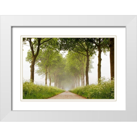 This Appears White Modern Wood Framed Art Print with Double Matting by Van de Goor, Lars