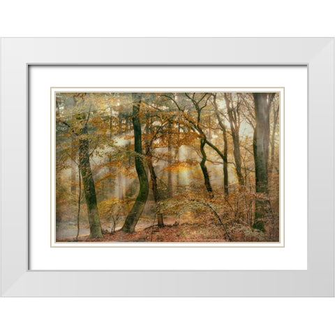 You Cant Hide Your Rays for Me White Modern Wood Framed Art Print with Double Matting by Van de Goor, Lars