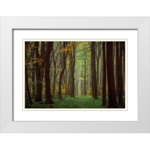 Arriving Nowhere White Modern Wood Framed Art Print with Double Matting by Van de Goor, Lars