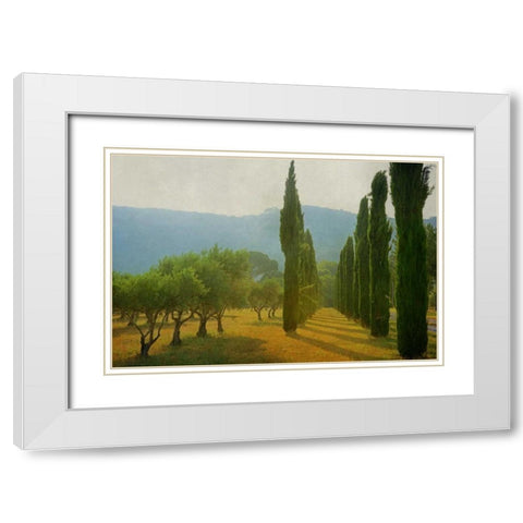 Cypress Shadows White Modern Wood Framed Art Print with Double Matting by Van de Goor, Lars