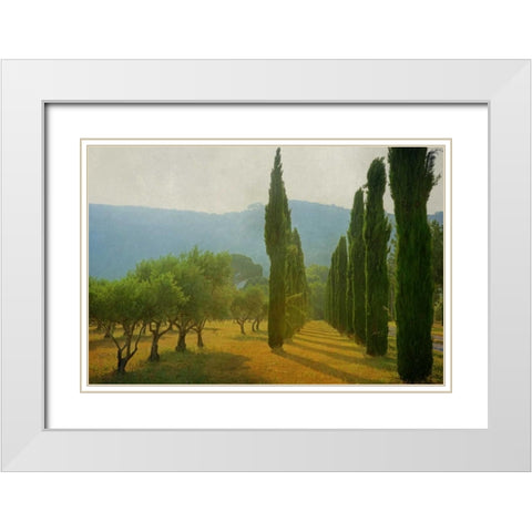 Cypress Shadows White Modern Wood Framed Art Print with Double Matting by Van de Goor, Lars