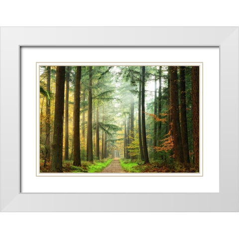 Divide White Modern Wood Framed Art Print with Double Matting by Van de Goor, Lars