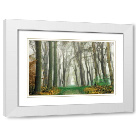 Magic Is Everywhere White Modern Wood Framed Art Print with Double Matting by Van de Goor, Lars