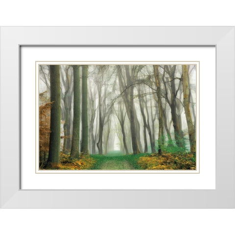 Magic Is Everywhere White Modern Wood Framed Art Print with Double Matting by Van de Goor, Lars