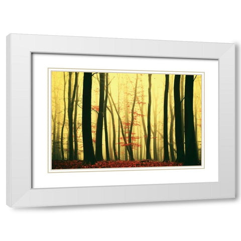Red Leaves White Modern Wood Framed Art Print with Double Matting by Van de Goor, Lars