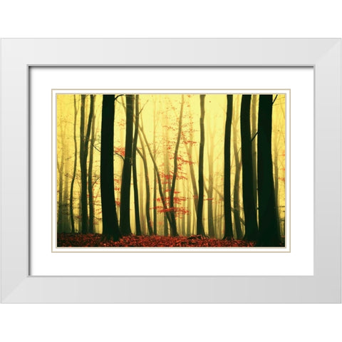 Red Leaves White Modern Wood Framed Art Print with Double Matting by Van de Goor, Lars
