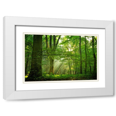 Breathe White Modern Wood Framed Art Print with Double Matting by Van de Goor, Lars