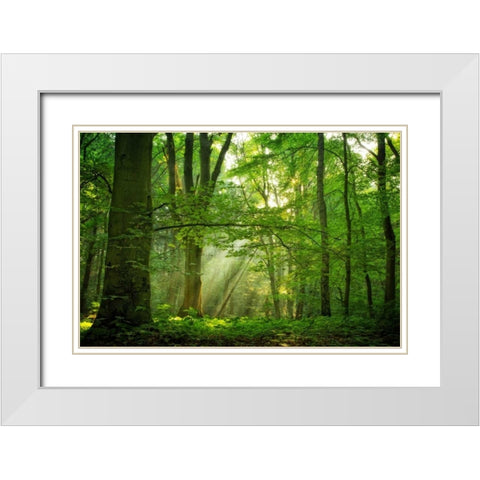 Breathe White Modern Wood Framed Art Print with Double Matting by Van de Goor, Lars