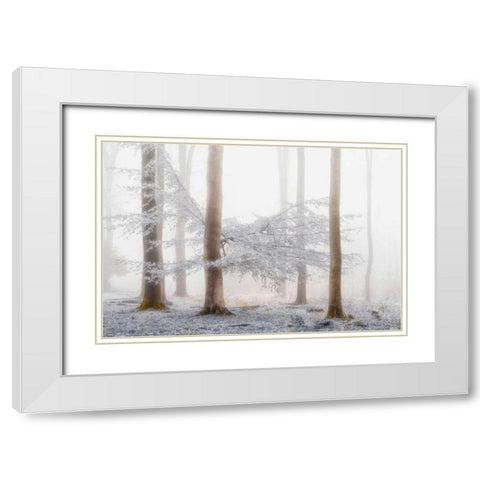 Lishka White Modern Wood Framed Art Print with Double Matting by Van de Goor, Lars