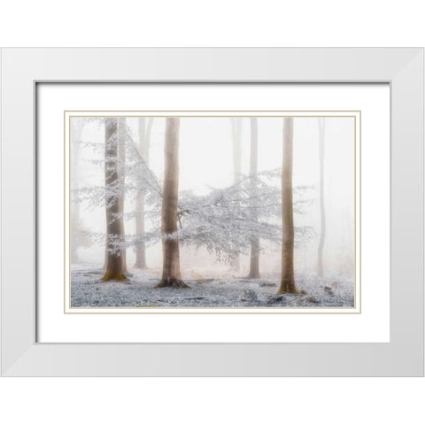 Lishka White Modern Wood Framed Art Print with Double Matting by Van de Goor, Lars