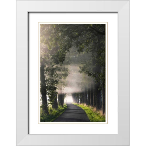 Rays of Fog White Modern Wood Framed Art Print with Double Matting by Van de Goor, Lars