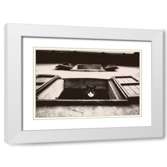Perspective Image
