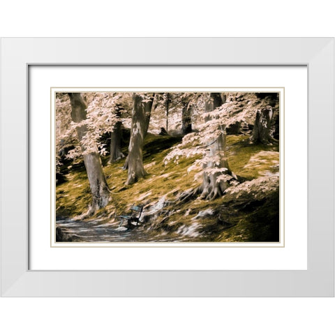 A Fine Place to Rest White Modern Wood Framed Art Print with Double Matting by Van de Goor, Lars