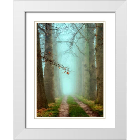 Blue Mist White Modern Wood Framed Art Print with Double Matting by Van de Goor, Lars