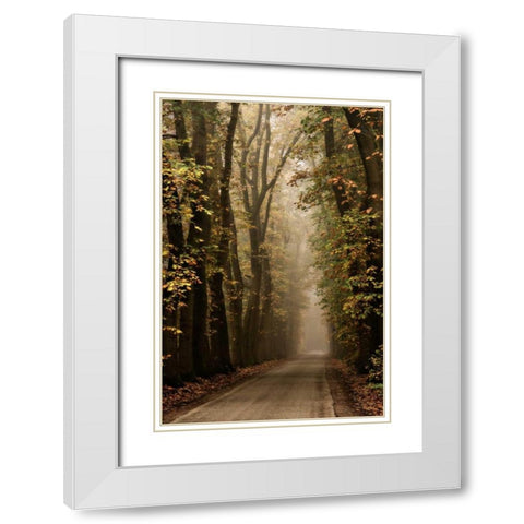 Folia White Modern Wood Framed Art Print with Double Matting by Van de Goor, Lars
