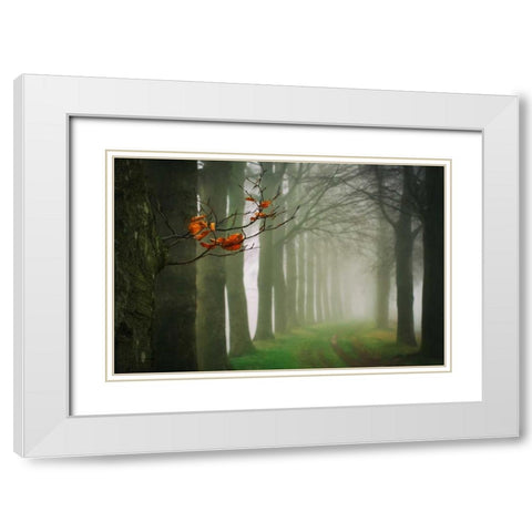 Old and New White Modern Wood Framed Art Print with Double Matting by Van de Goor, Lars