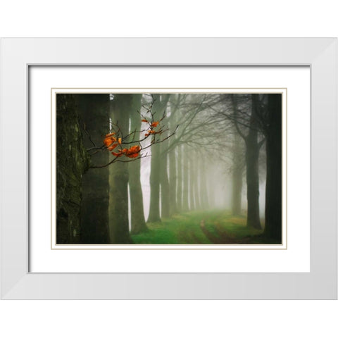 Old and New White Modern Wood Framed Art Print with Double Matting by Van de Goor, Lars